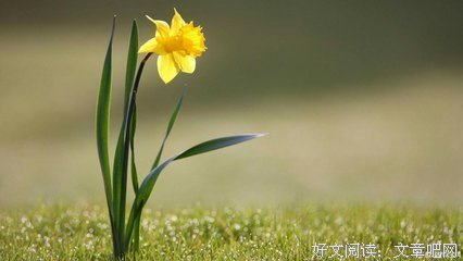 漂亮的句子