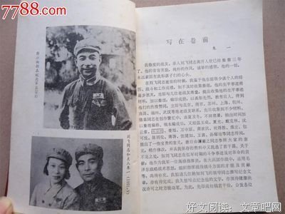 最新的《平生欢》小说书摘