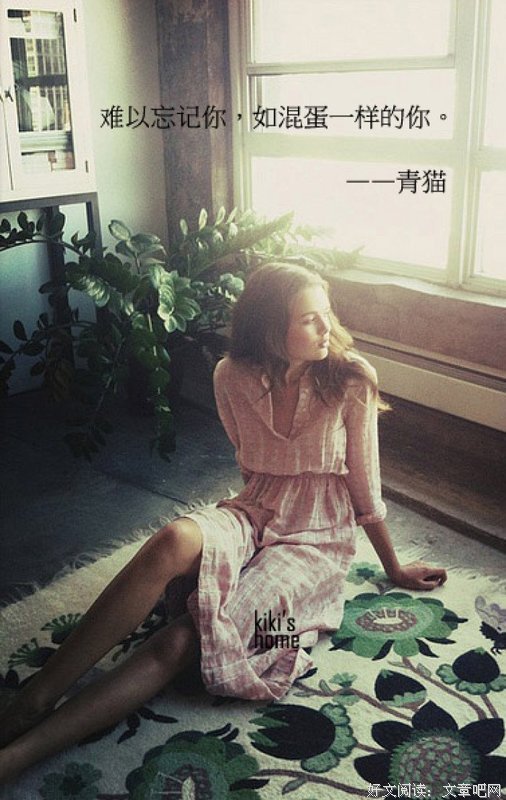 最新的《我是猫》经典的句子