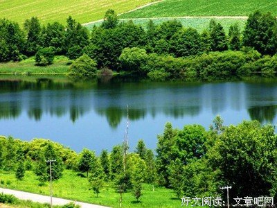 《我爱你》经典的句子大全