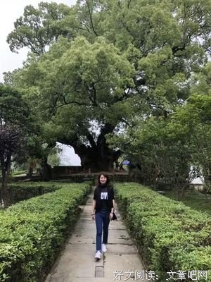 《旅行记》好段摘抄
