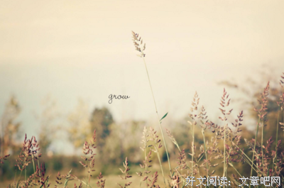 如果撑不下去了，就回家吧