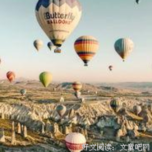 你做过最蠢的一件事是什么