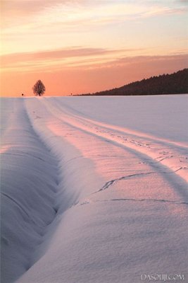 最新的《眉间雪》经典名句大全