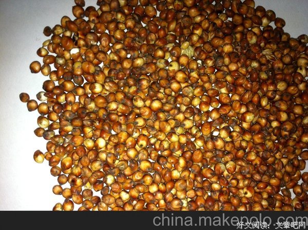 《红高粱》好段摘抄大全