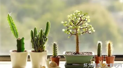 关于千锤百炼的语句