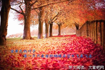 关于一言以蔽也都于一了的句子