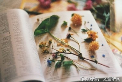 去样人的智慧句子