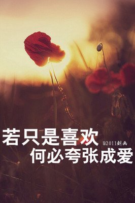 《不必后将的喜欢夸张成爱》的句子