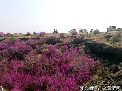 林家成的名言