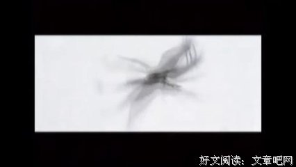 最经典的《一女御皇》经典句子