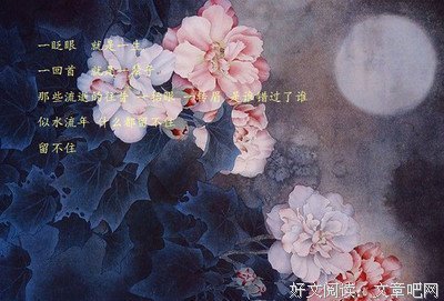 最新的《兰陵缭乱》佳句摘抄