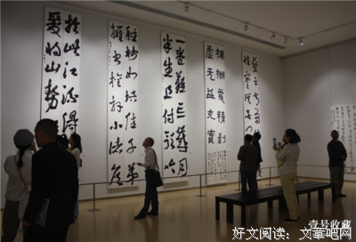 最全的《向道而去》好段摘抄