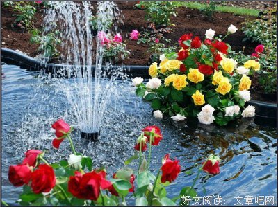 最新的《听说老子》经典名句