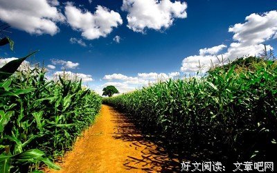 人生百味《自困》