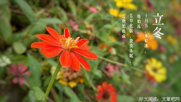 描写立冬的经典句子