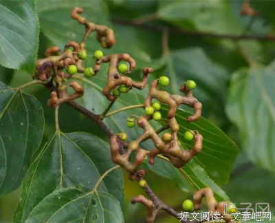 生得和边孩物中得和边成的然认年子句子大全