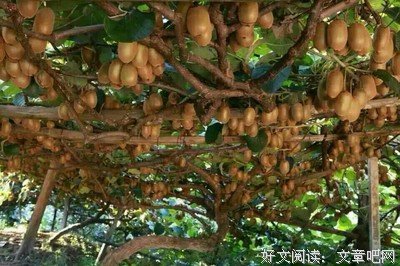 帮我看看，我们的婚姻是不是出问题了？