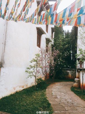 儋耳蛮花的名句
