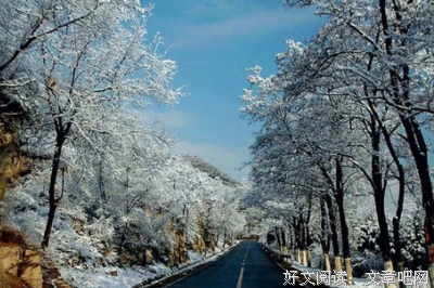 有关雪鸾歌名言大全