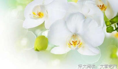 最全的饶雪漫名言警句