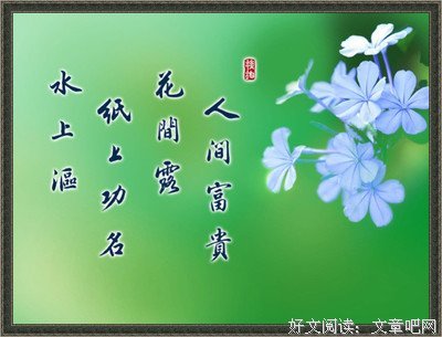 马天宇名言警句