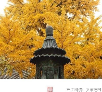 最全的《太难相处》经典的句子
