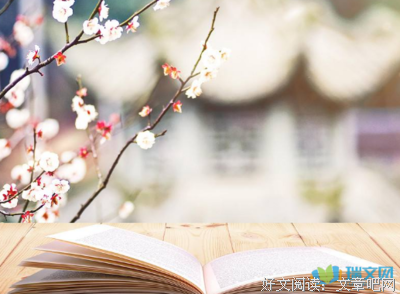 最全的《如人饮冰》小说摘抄