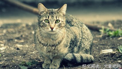 最新的《性与性格》好段摘抄