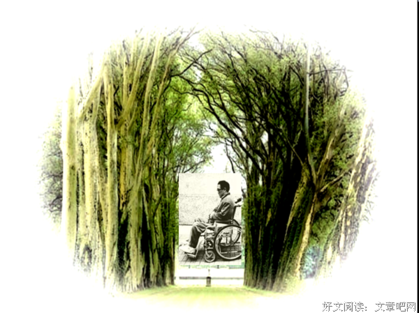 《我与地坛》好段摘抄