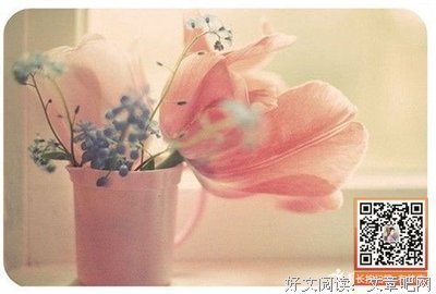 最全的《我欢就好》小说摘抄