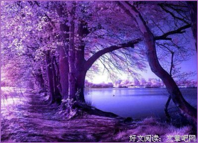 《温暖的弦》经典名句
