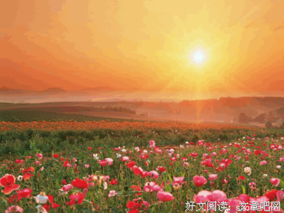 最新的《狱中书简》好段摘抄