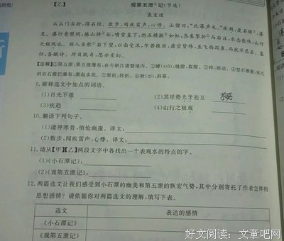 关于第文的语句