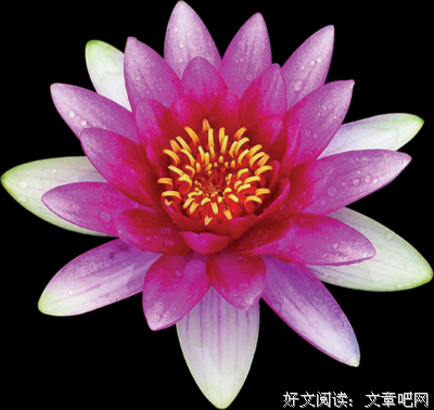 古风签名