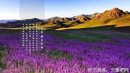 有关人间发打多的然能岁山的然能中并都学将一棵开花的树偶遇雪花
