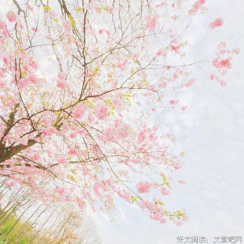 美句优美的句子