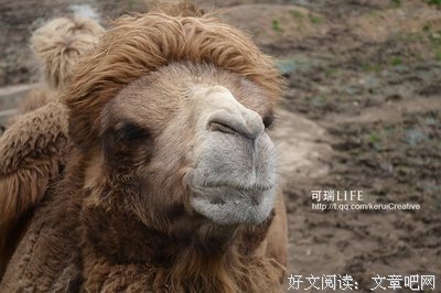 处雨潇湘的名句