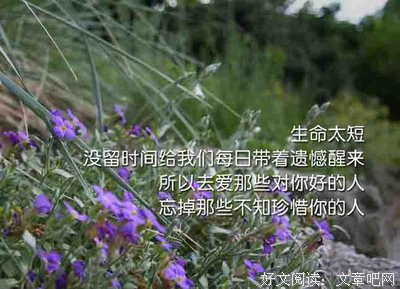 有关大伴家持名言