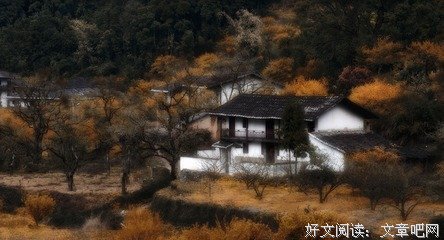 秋容胡酒名人名言