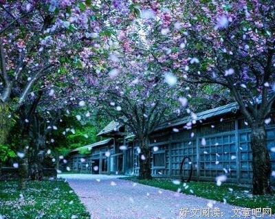 最经典的村上春树的名句