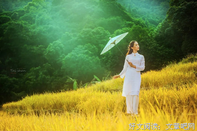 有关桃园野菊的名言名句