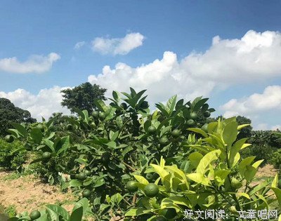有的人，不需要成功，因为他喜欢捷径