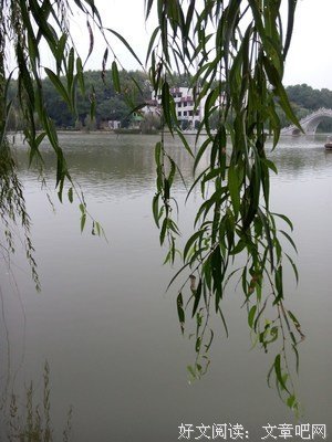 最新的《芳草无情》小说书摘大全