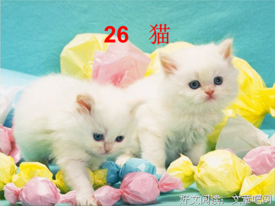 最全的《追忆杂记》经典句子