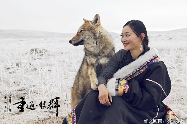 最经典的《重返狼群》经典句子大全
