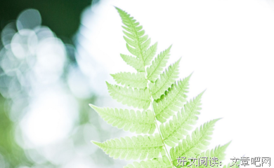 最经典的《陌上花开》佳句摘抄