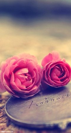 最新的《静心观照》经典语录大全