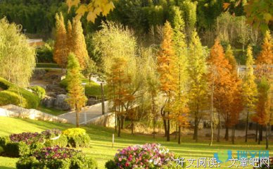 花花的语句摘抄_关于花花的语句