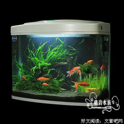 关于日胜名言名句